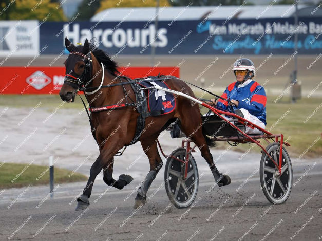 RUBY ON THE BOARD IN NZ