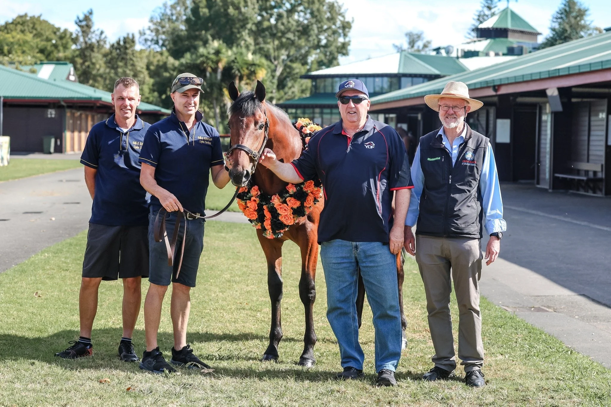 YDF AT NZ YEARLING SALES