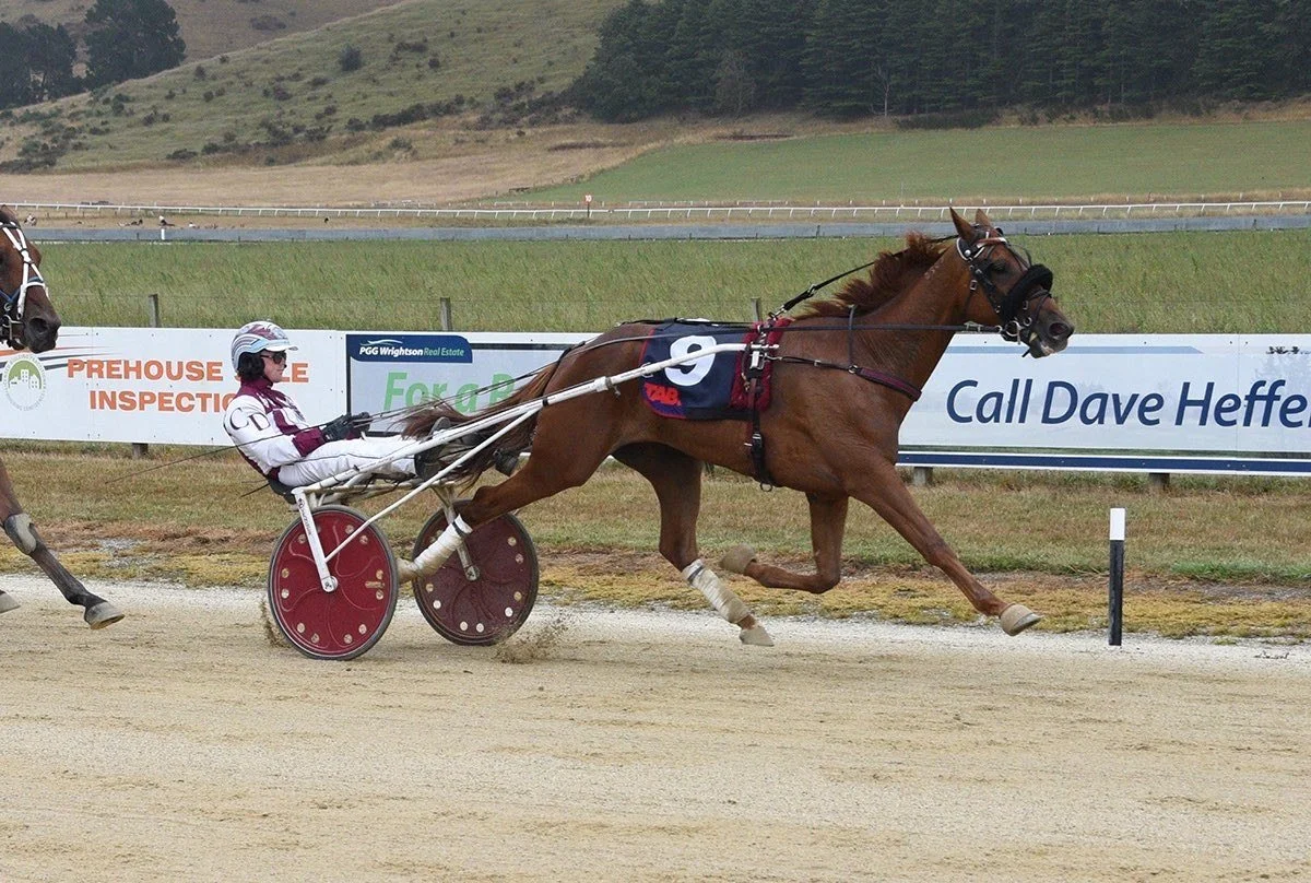 TIMOKO STRIKES IN NZ