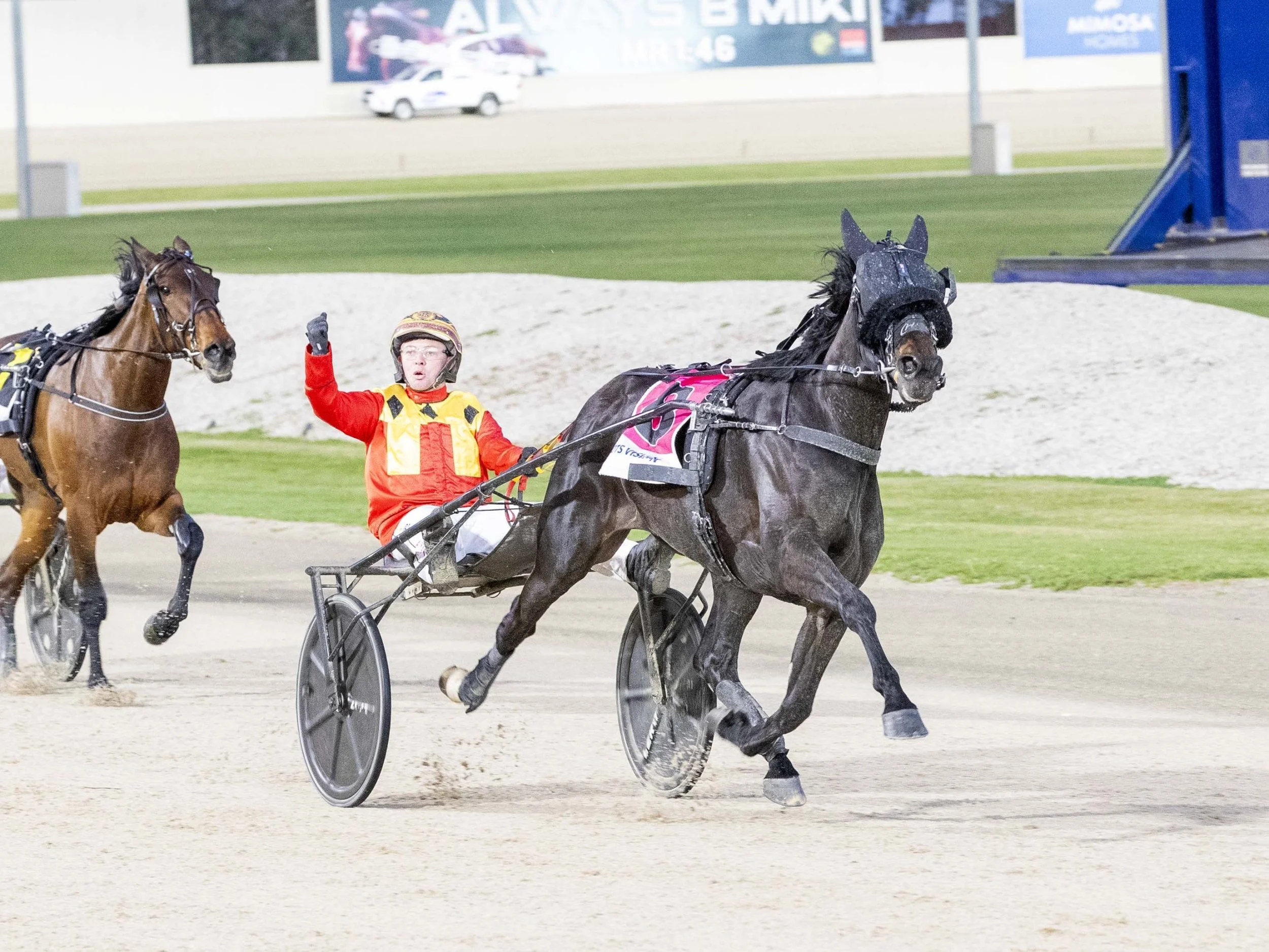 SHARING A GREAT JOURNEY