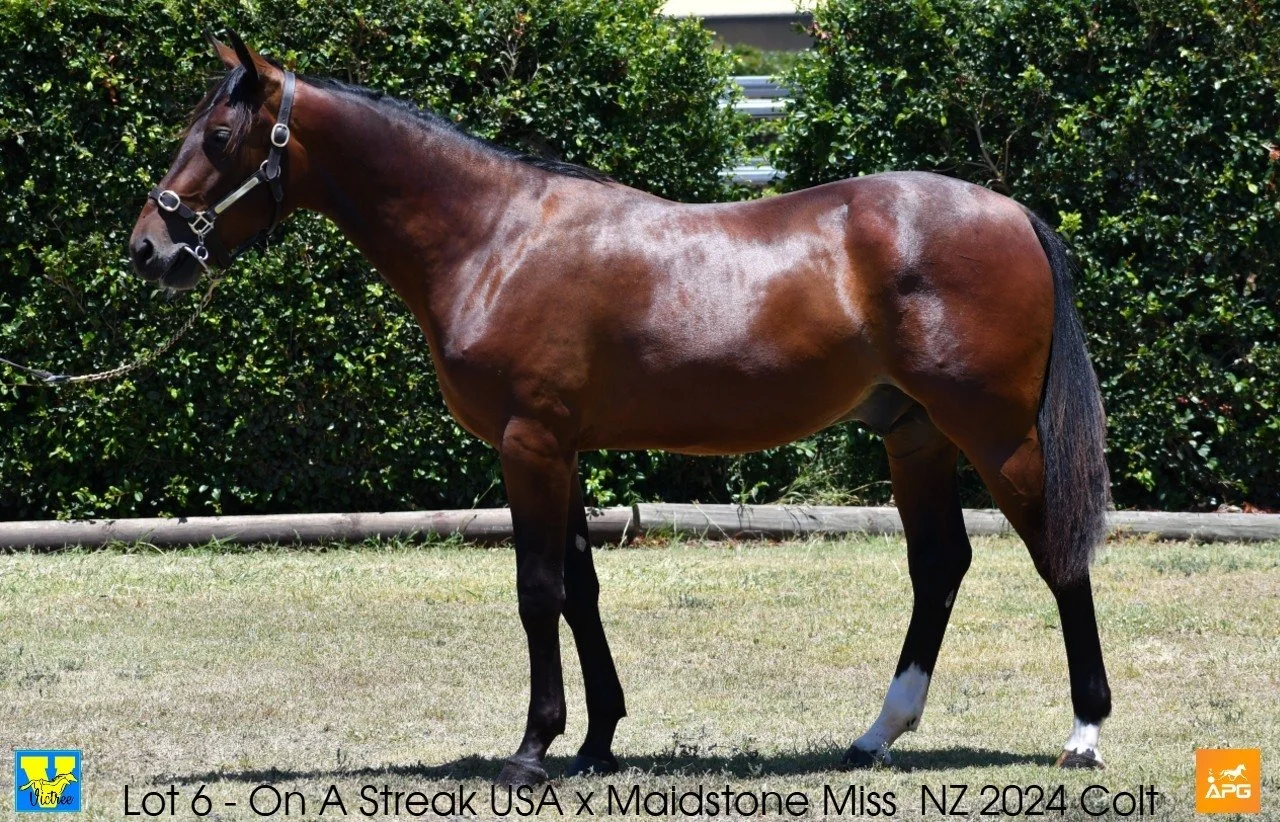 ON A STREAK MAKES EARLY IMPACT