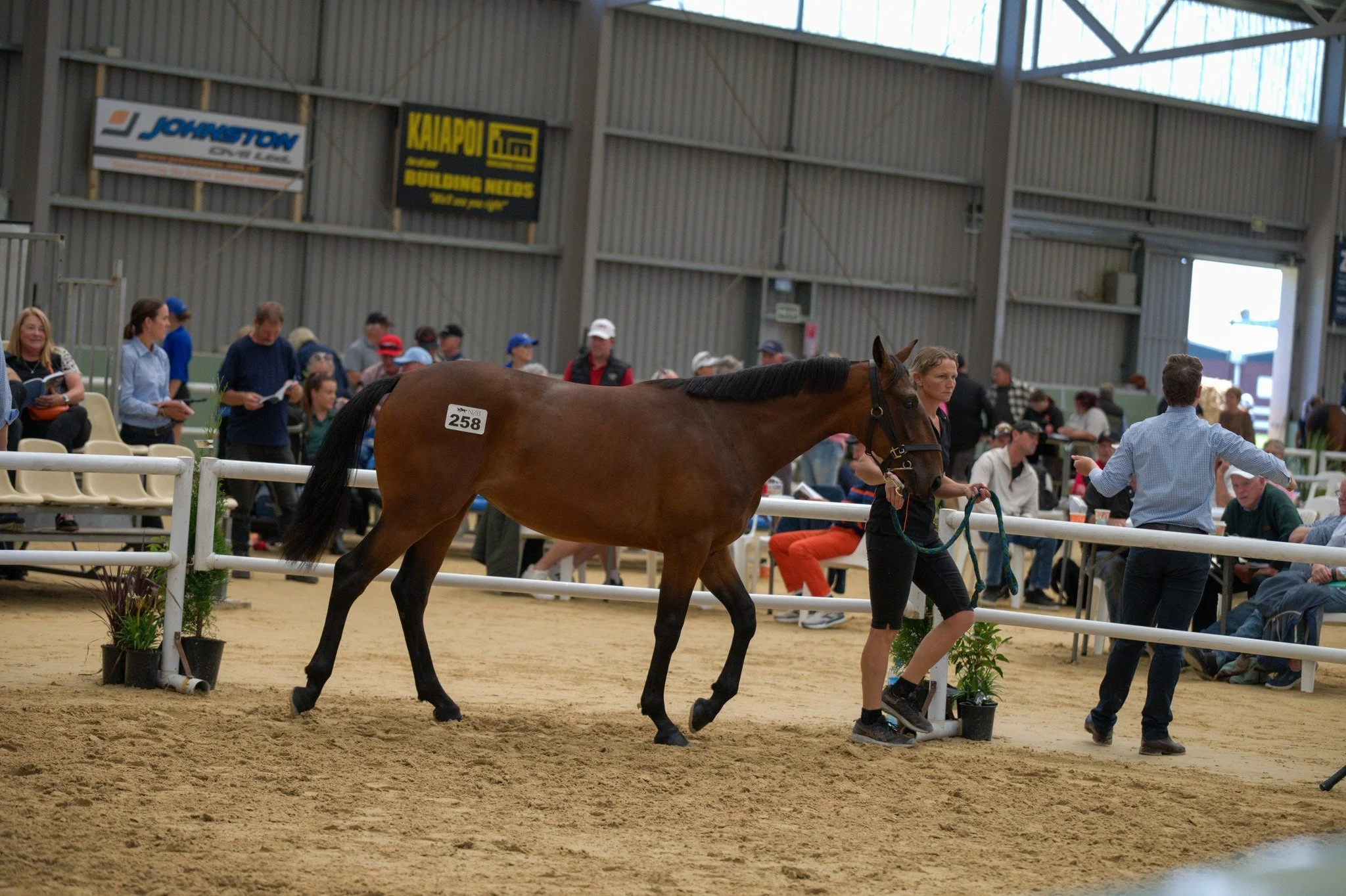 YEARLINGS HEADLINE SALES