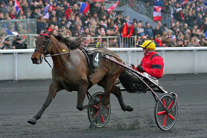 SPECIAL MOMENTS FOR LOVE YOU &amp; BOLD EAGLE