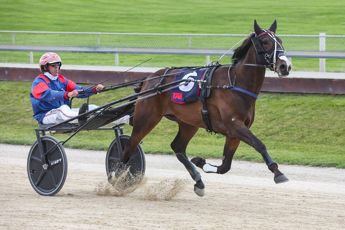 BELLE NEIGE READY FOR NZ SLOT RACE