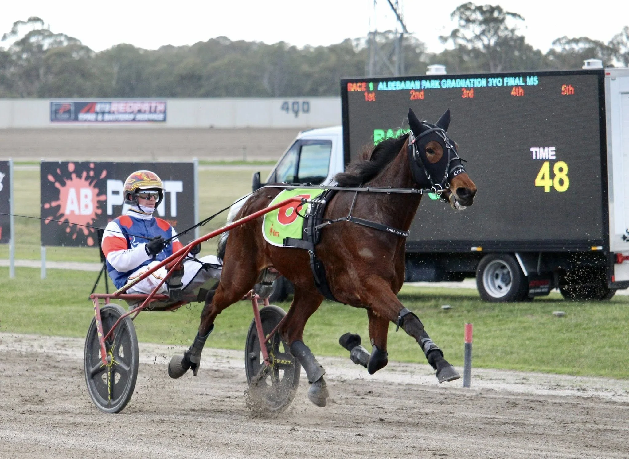 TOP RACE MARES MAKING MARK AS DAMS