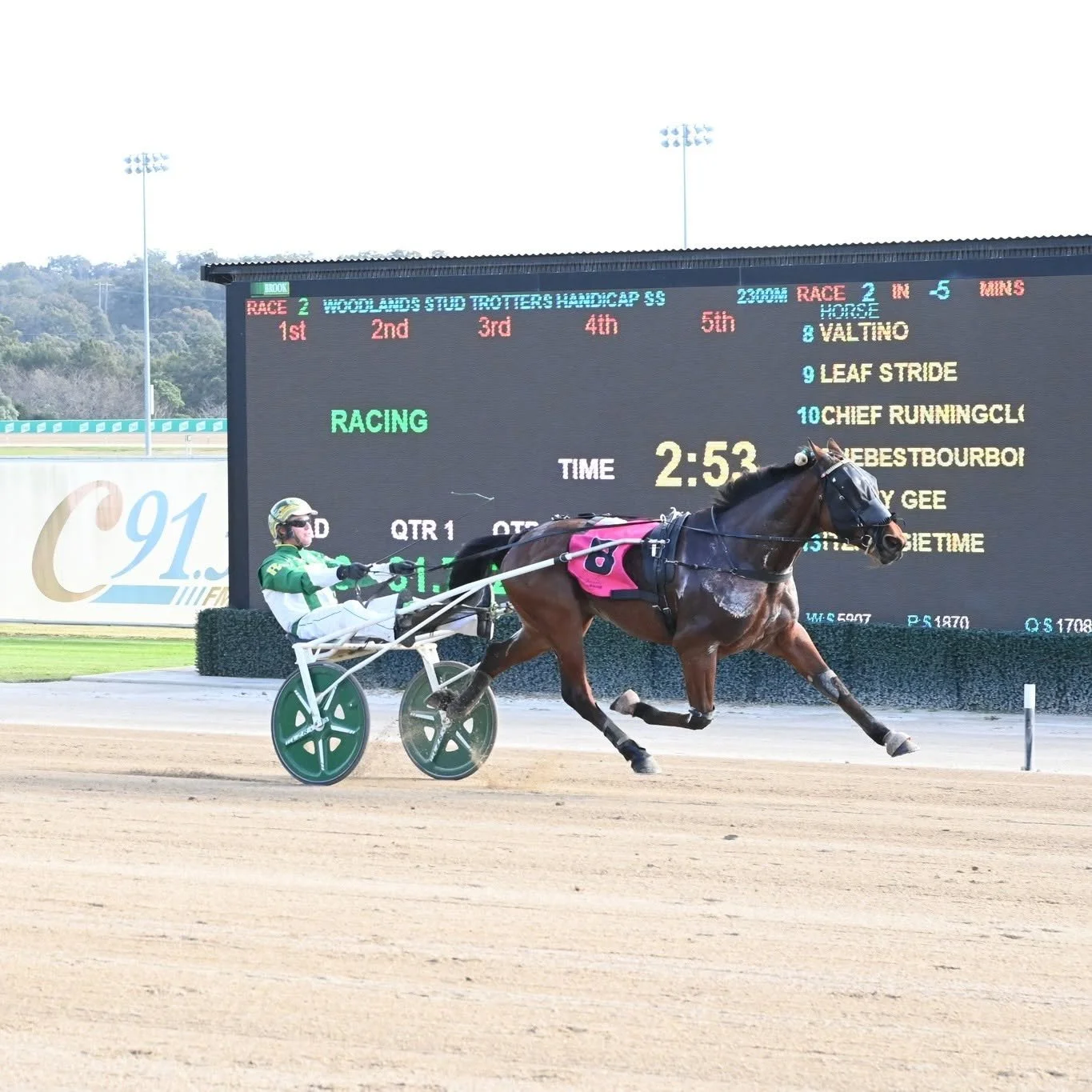CONNECTING WITH LEADING SIRES