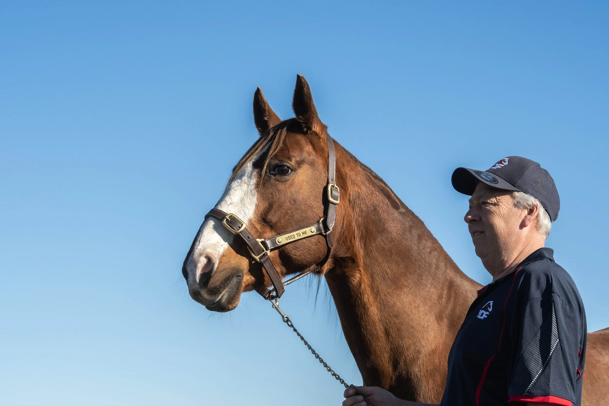 FIRST AS BROODMARE SIRE