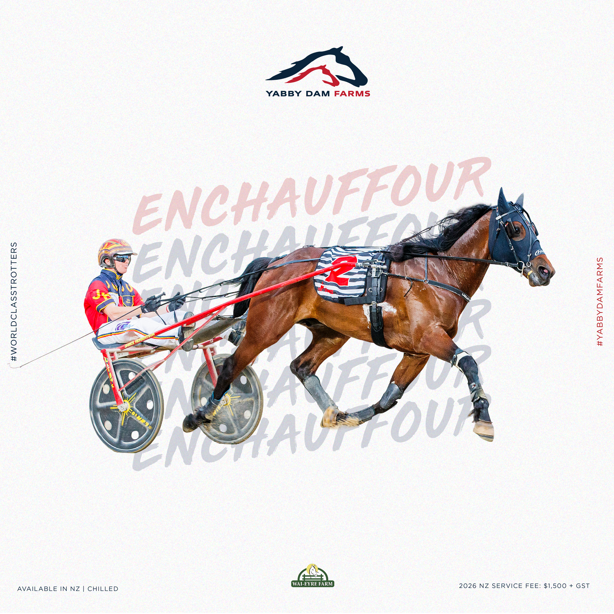 ENCHAUFFOUR JOINS STALLION ROSTER