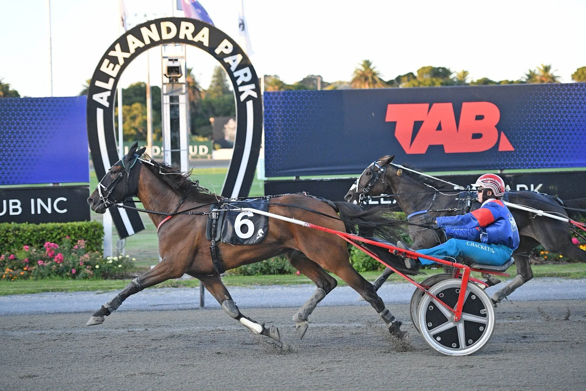 BELLE NEIGE TARGETS NZ CLASSIC