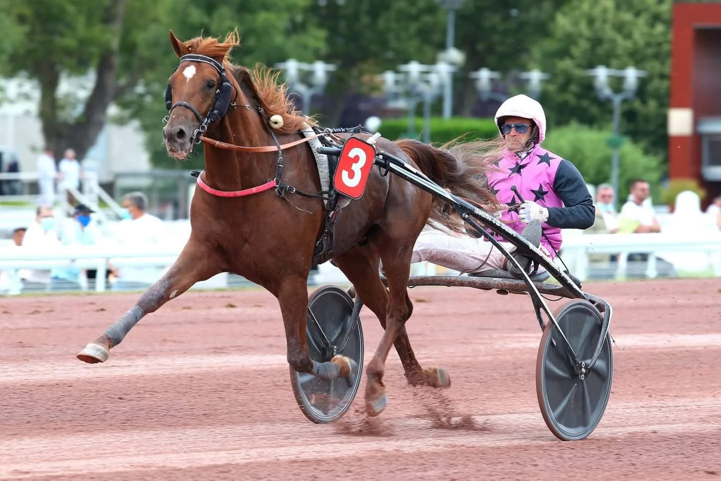 BOOSTER WINNER’S HOOKER BERRY TAKES ON THE WORLD