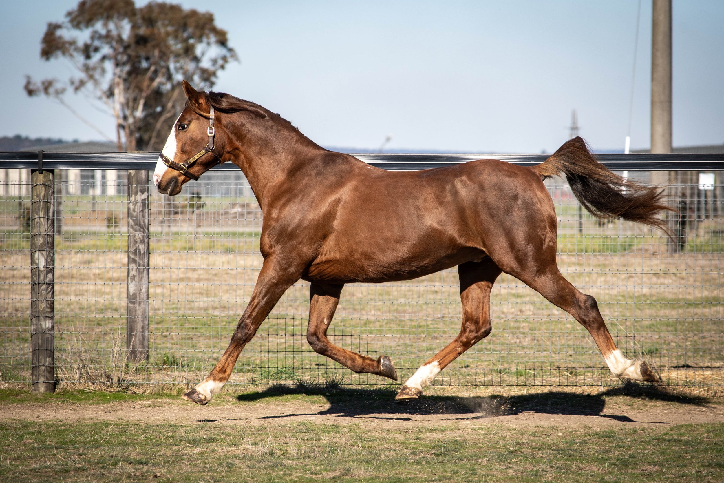 USED TO ME WINNERS KEEP COMING