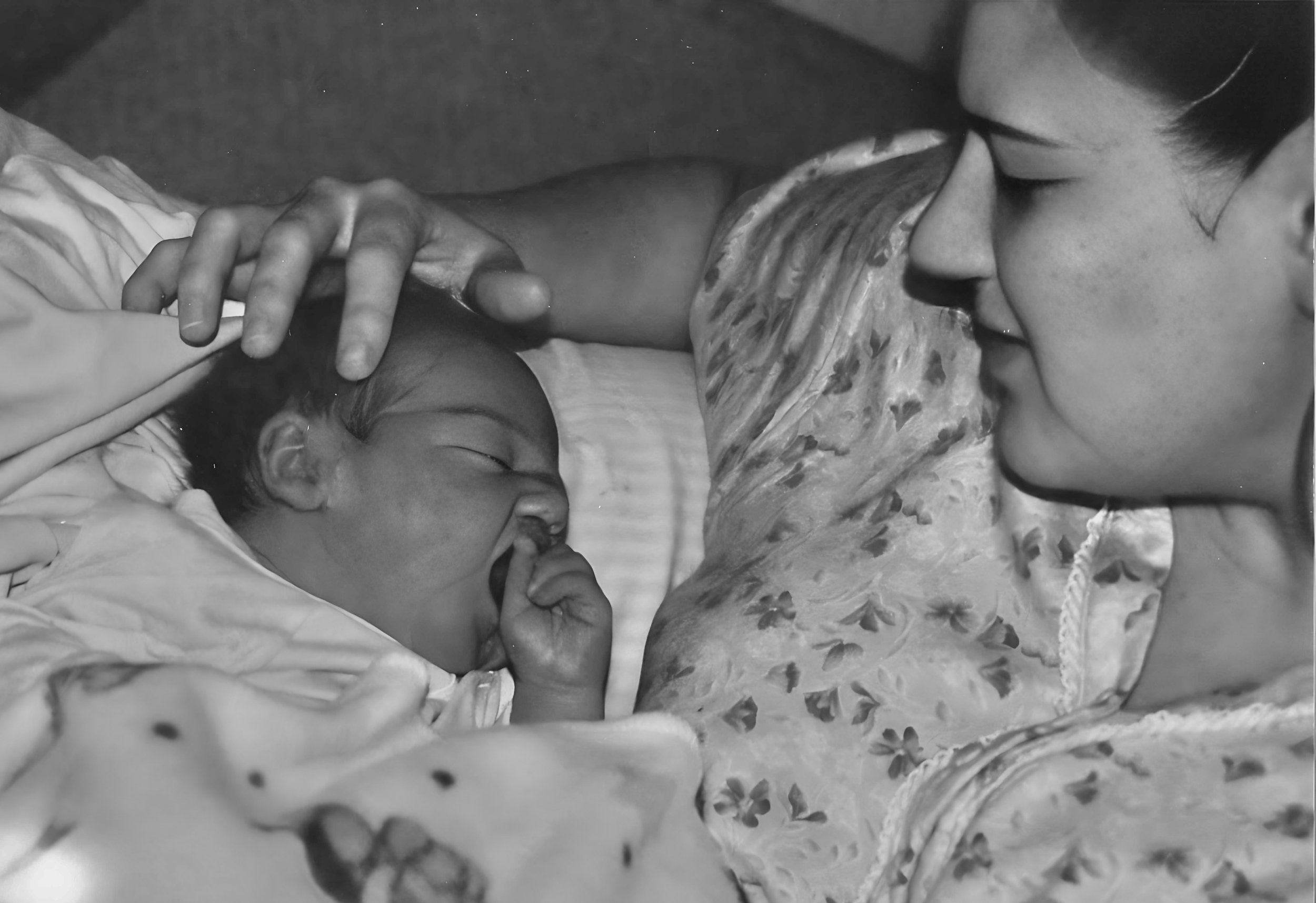 In the Image of the Creator