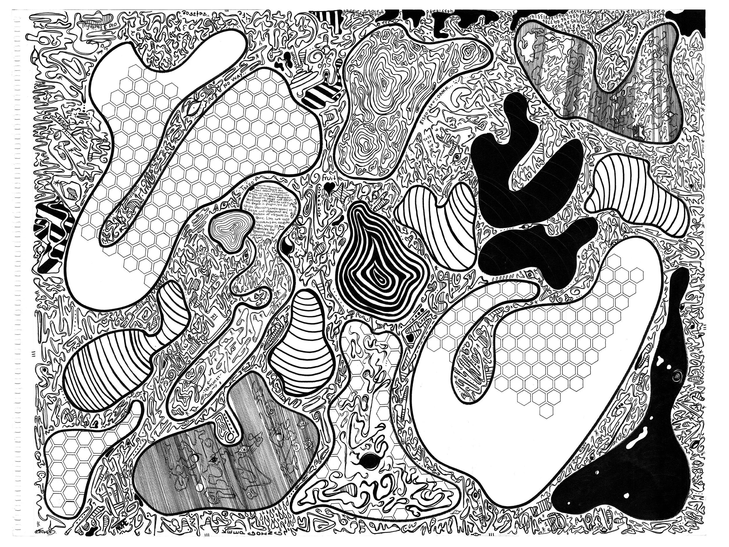 Visceral 4 site .JPG