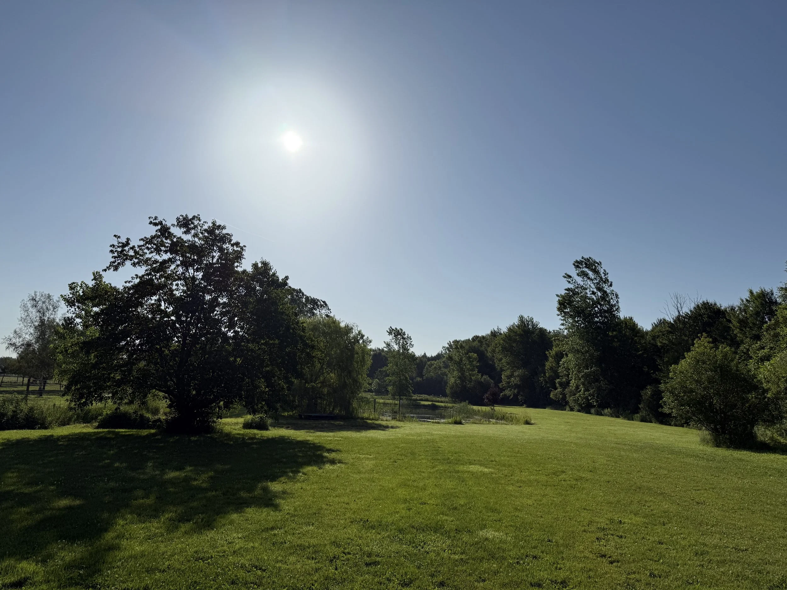 Blue Raven Miniature Cattle Ranch Pond Pic