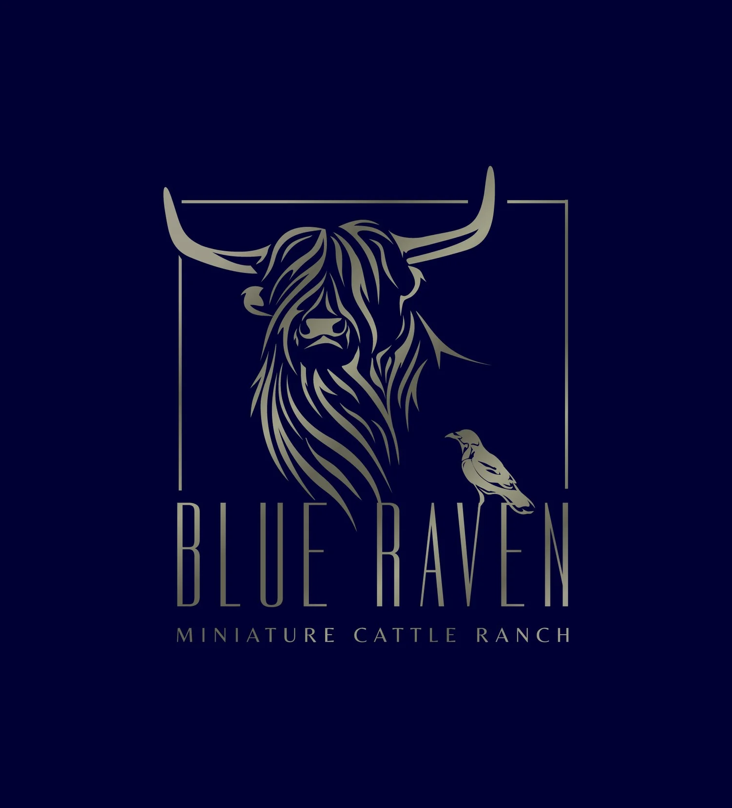 Blue Raven Miniature Cattle Ranch, LLC