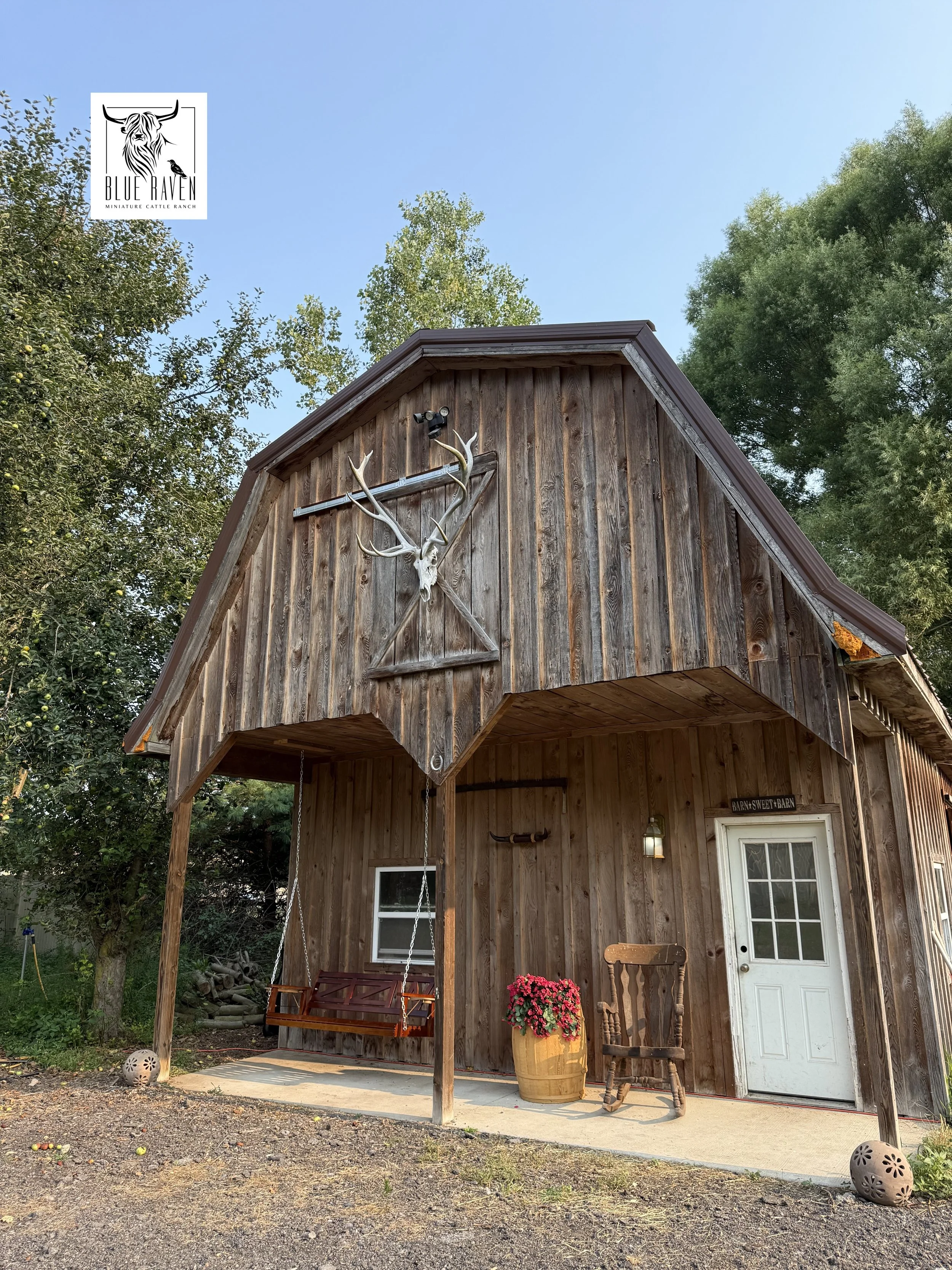 Blue Raven Cattle Ranch Barn