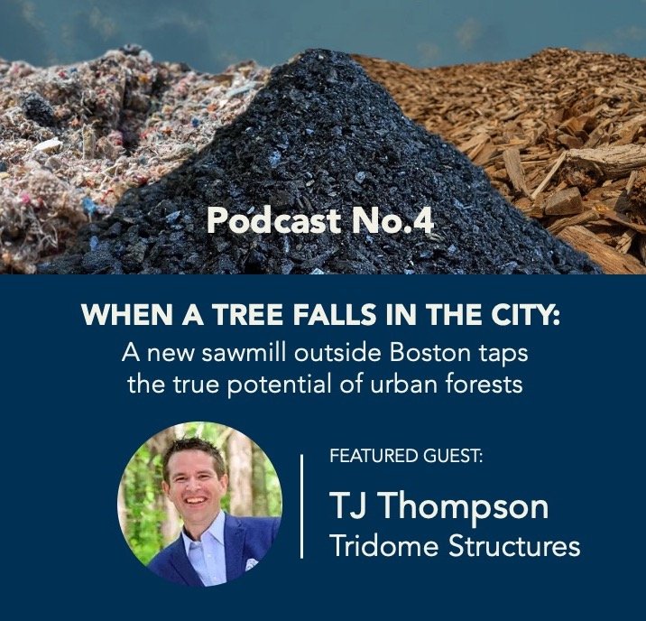 When a Tree Falls in the City: July 13, 2026