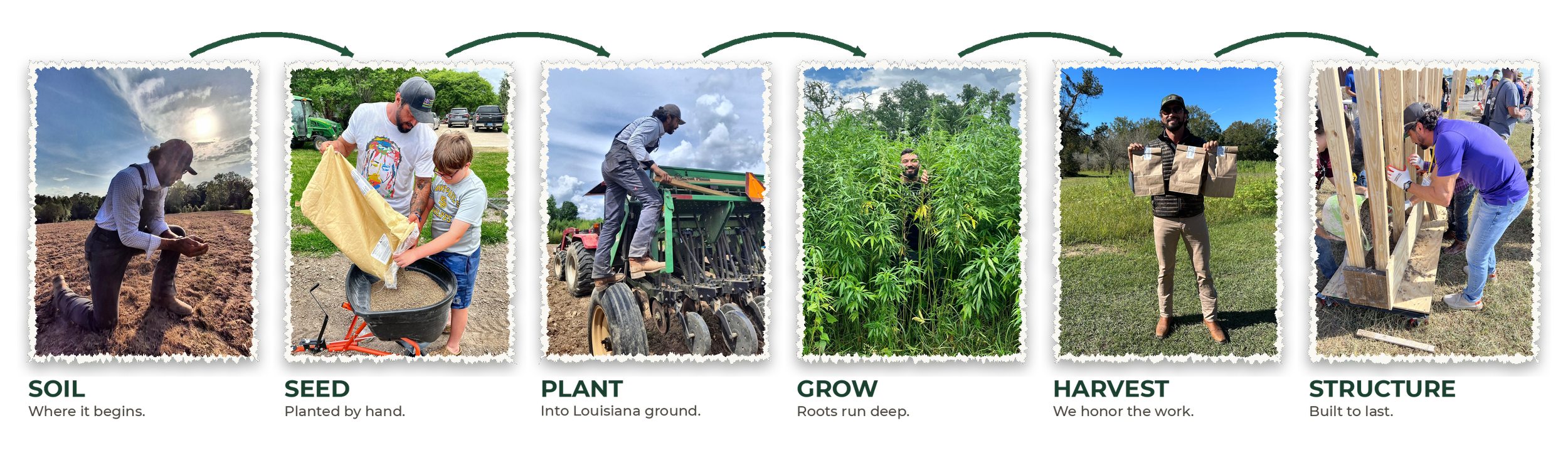 Each stage from plant growth, soil preparation, planting seeds by hand, cultivating with machinery, growing into large plants, harvesting, to constructing a structure.