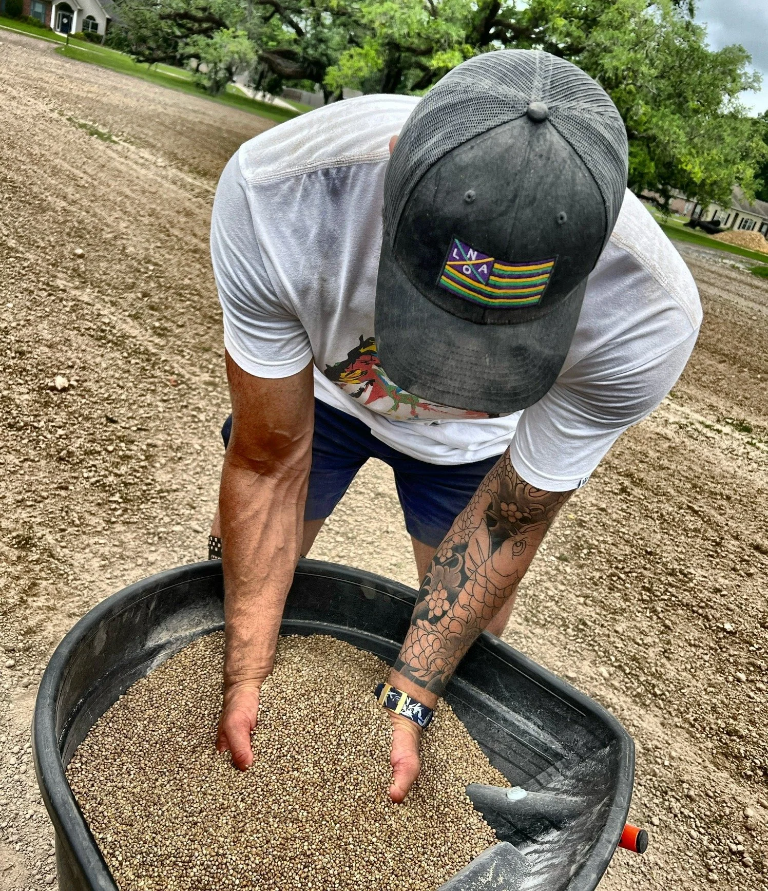 Shawn Ledig, inspecting hemp seed prior to seeding