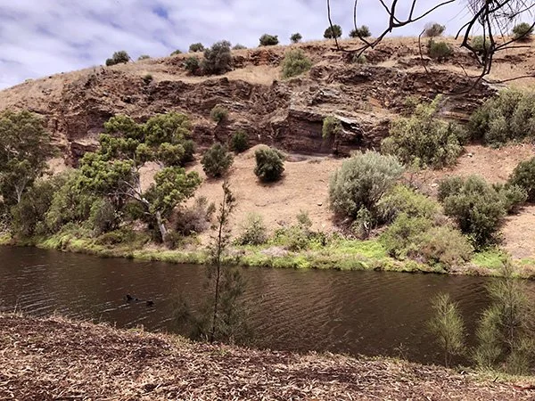 River flowing through a hilly, rocky landscape with sparse vegetation and trees.