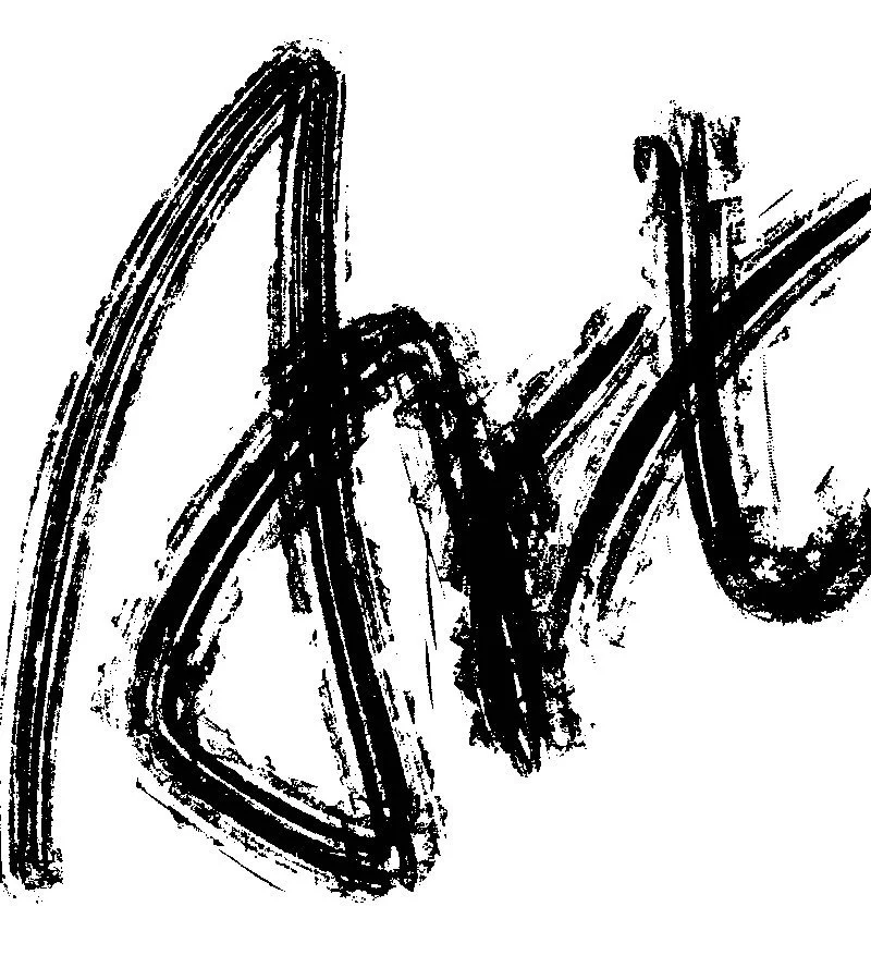 Abstract black ink brush strokes on white background.