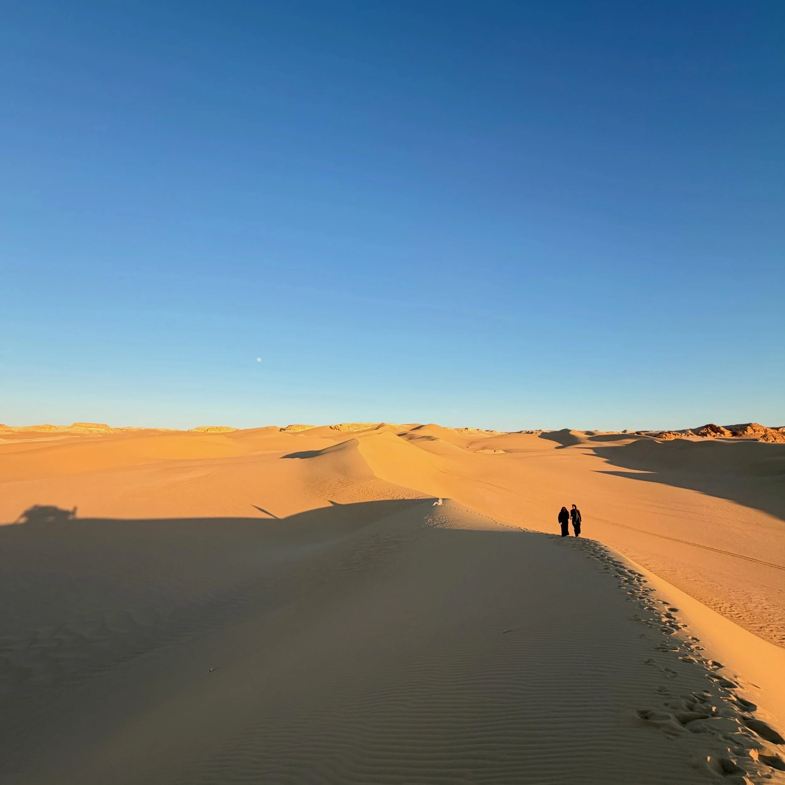 Fayoum Oasis