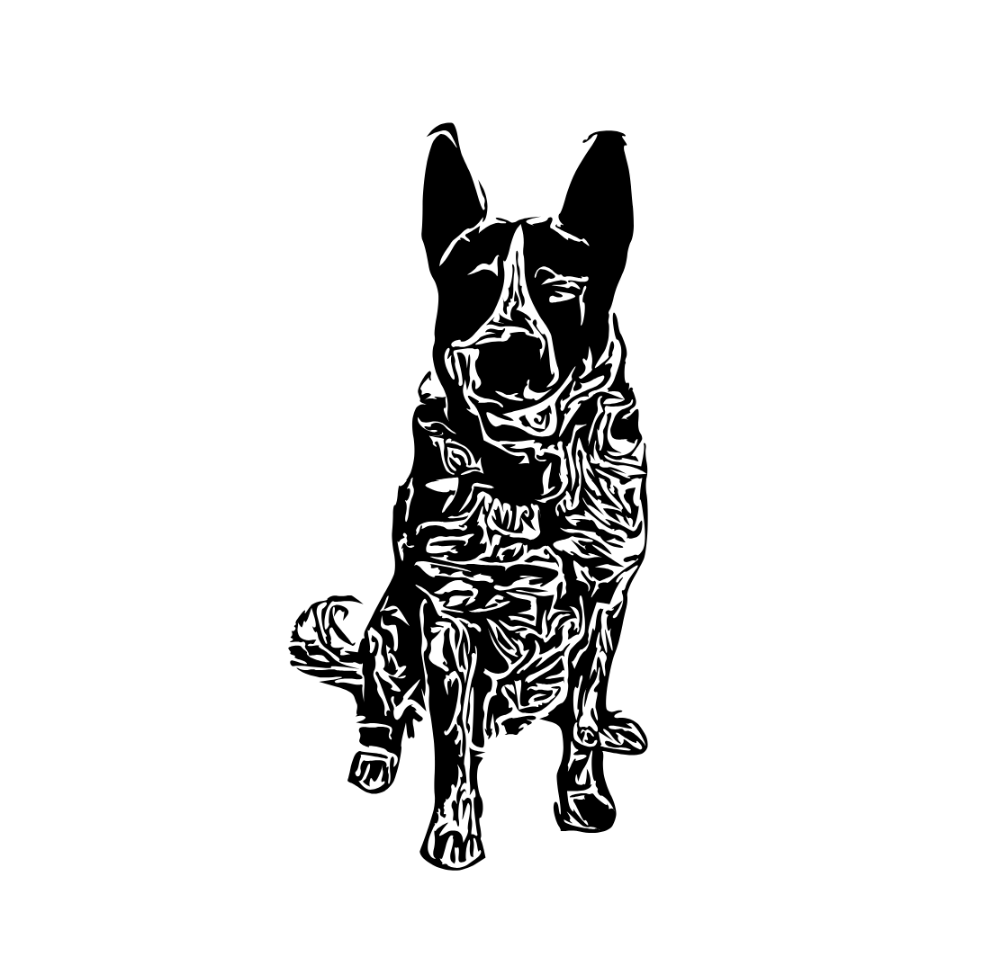 Black and white digital illustration of a sitting Belgian Malinois dog with upright ears, facing forward.