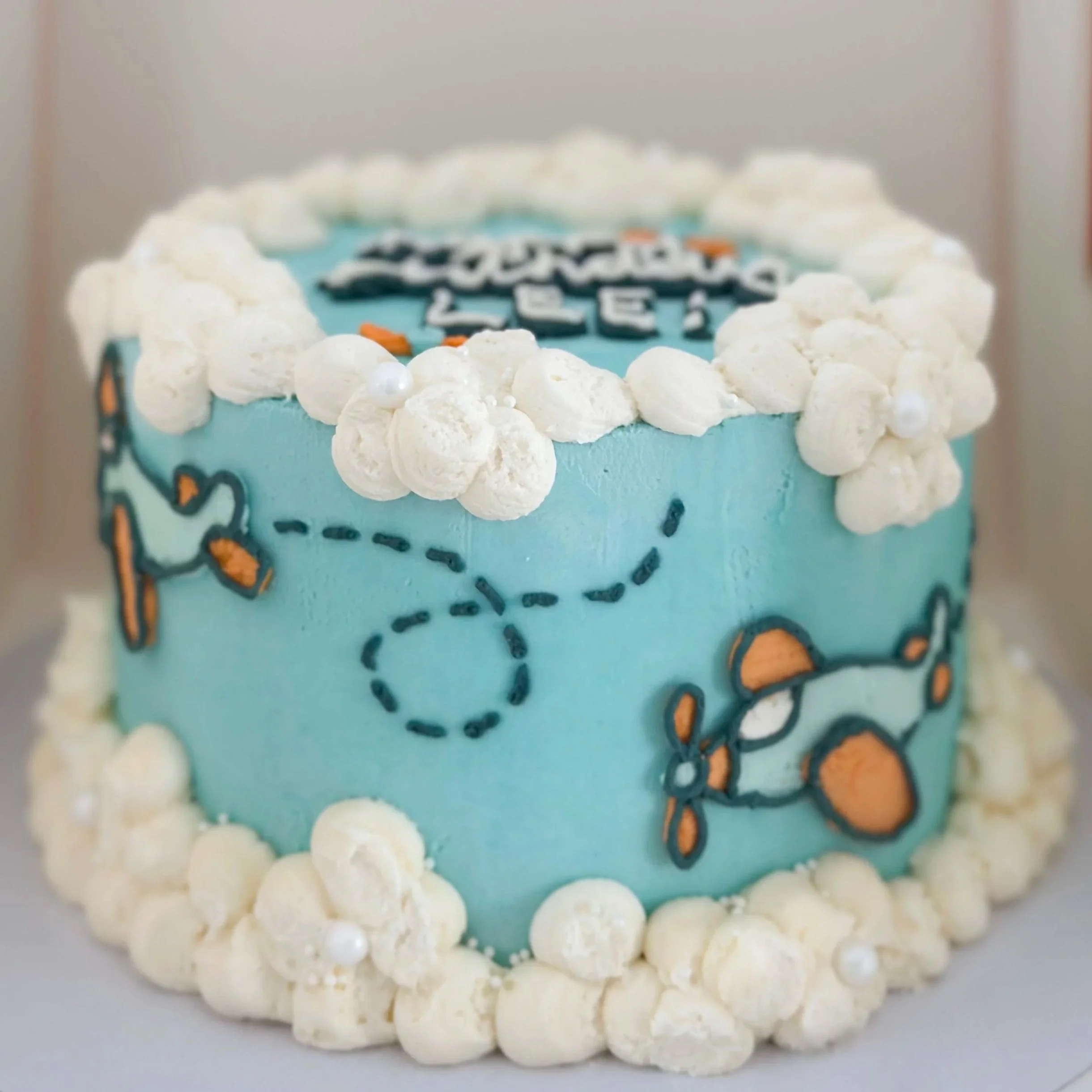 airplane birthday cake