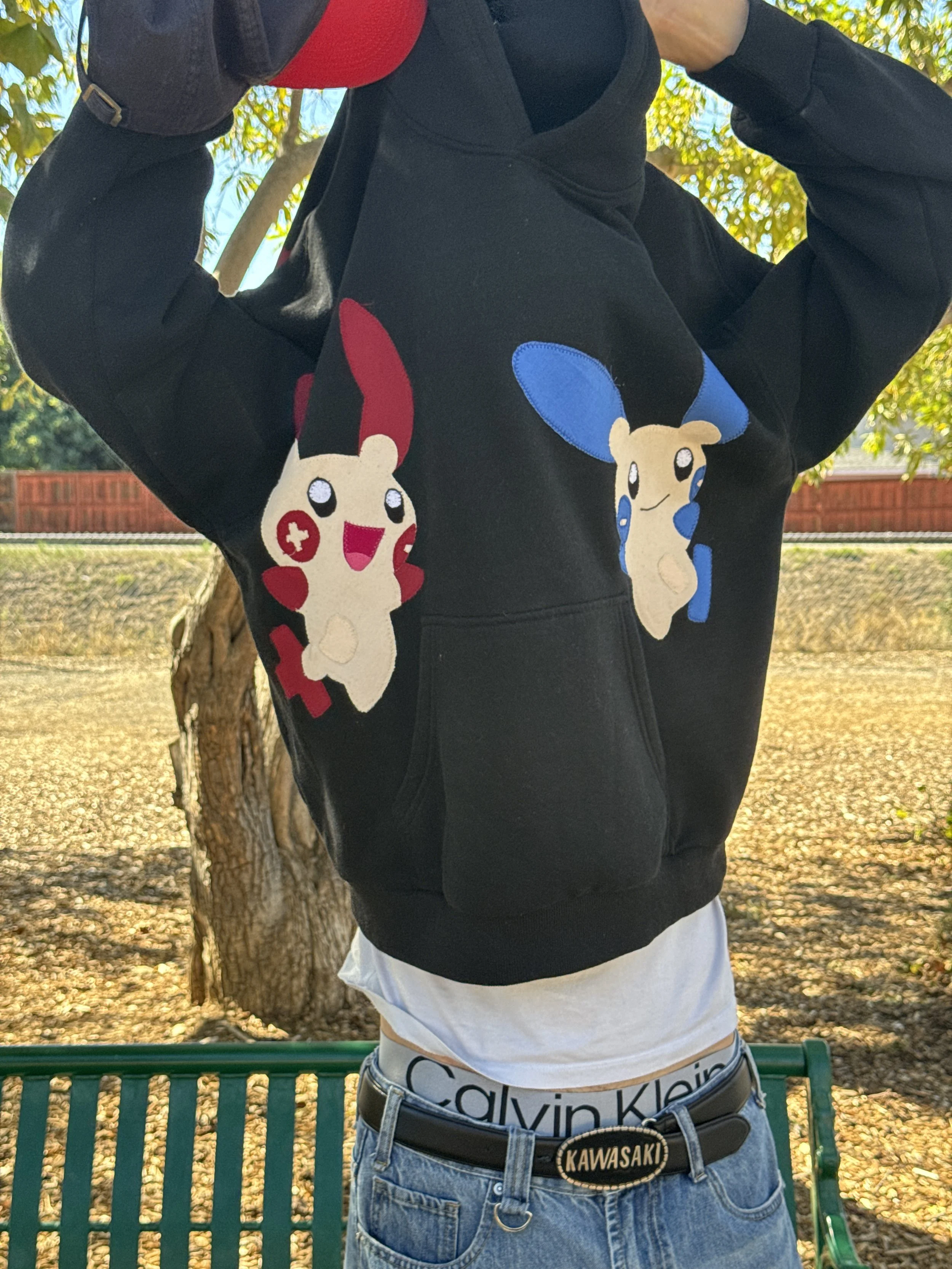 Plusle & Minun Hoodie