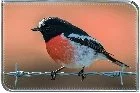 Red Robin Glass Photo Block 10cm x 15cm