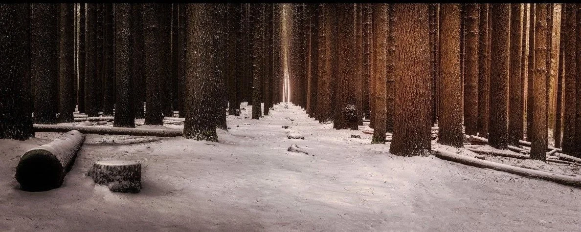 MEMORY IN SILENCE