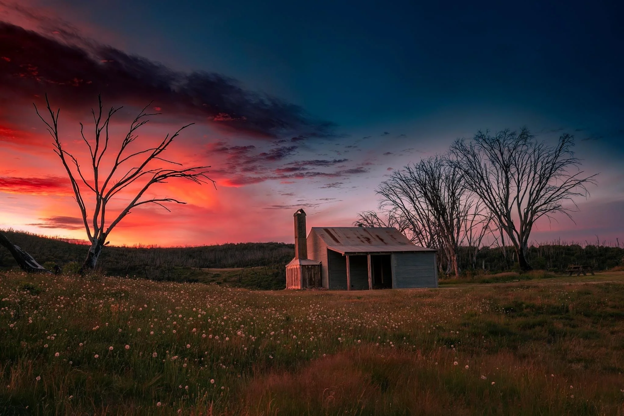 Silence in the sunset