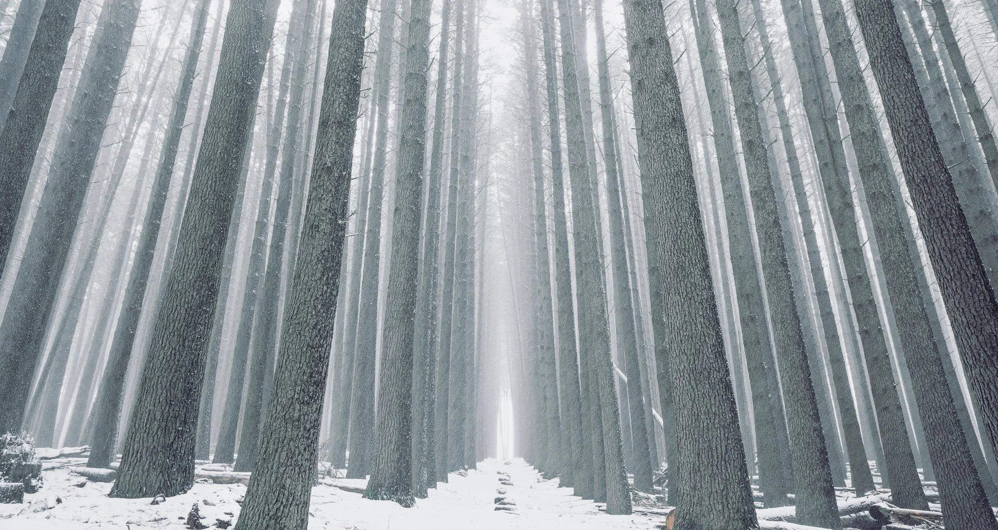 WINTER FEELS