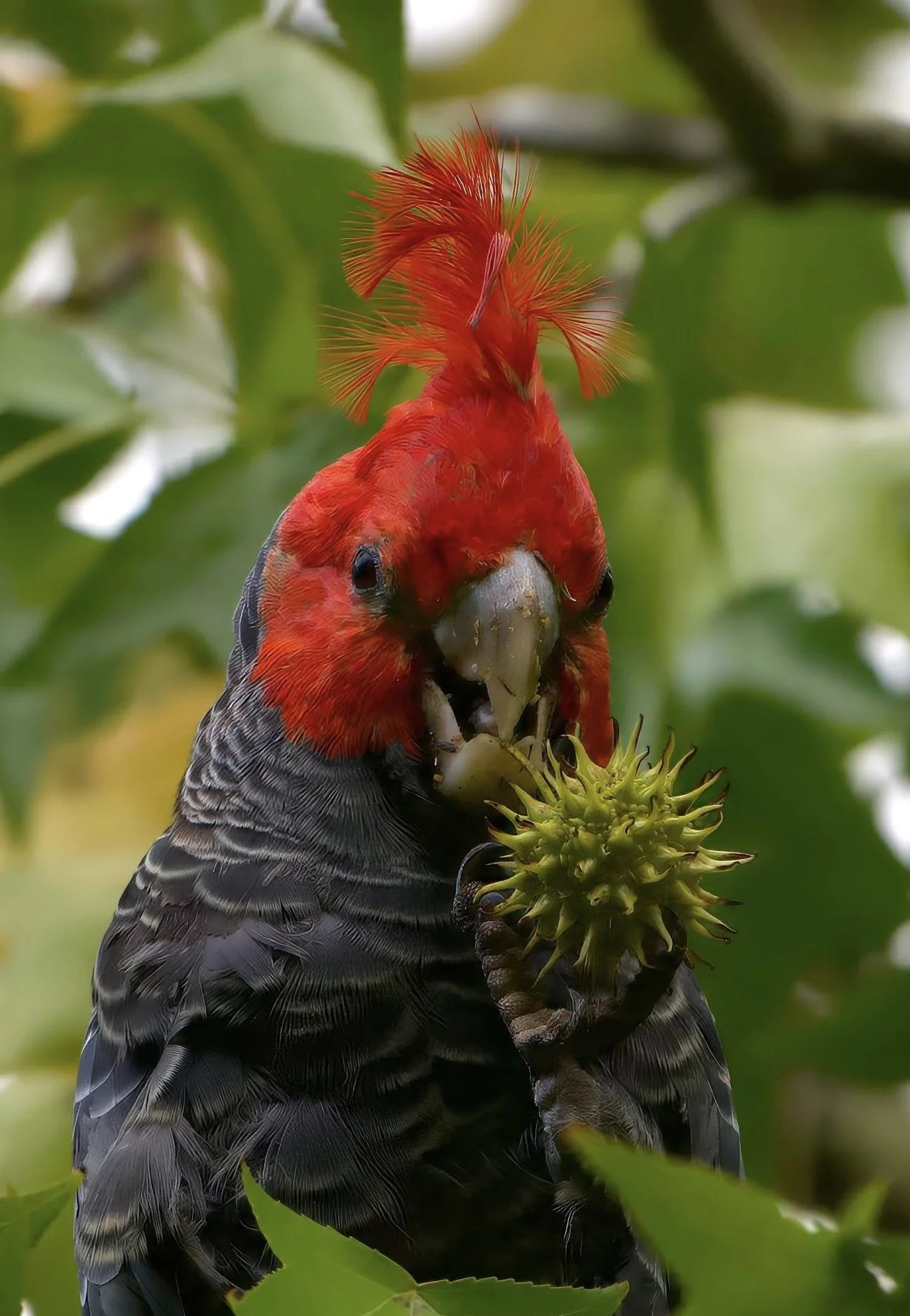 ITS ALL ABOUT THE HAIR