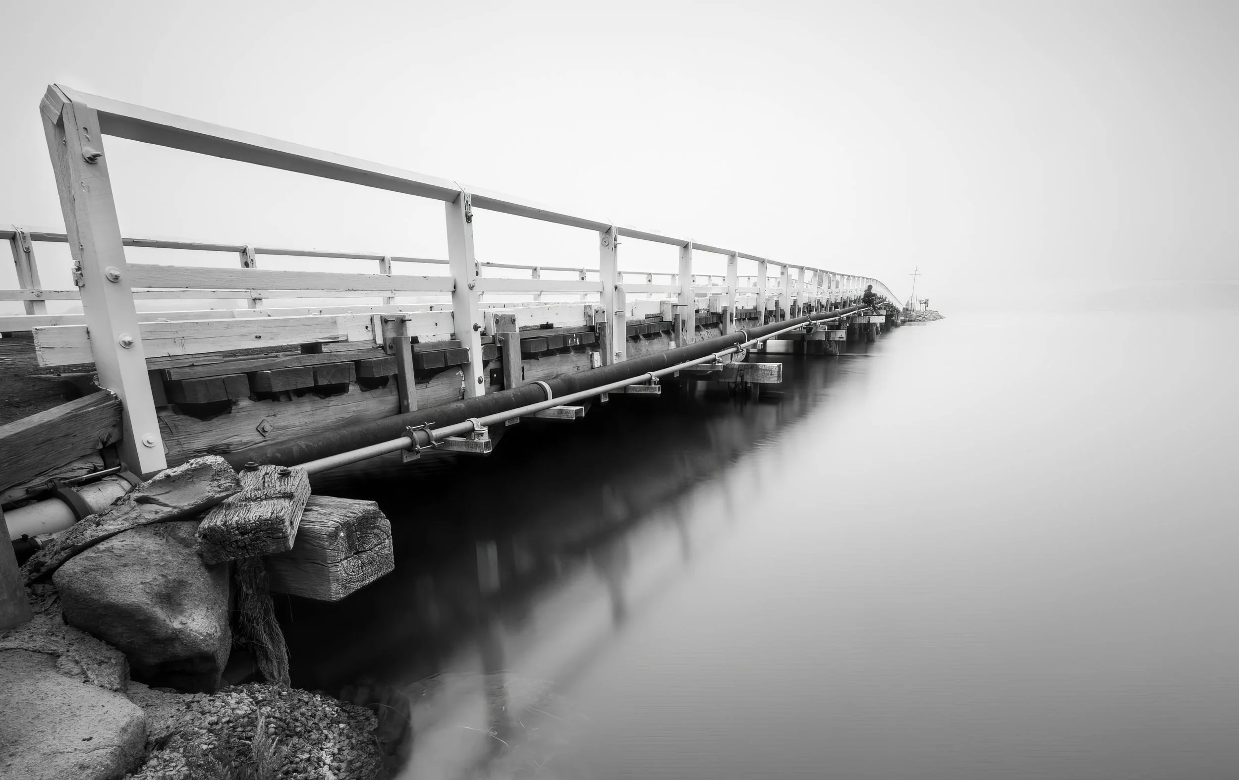 bbwallaga+lake+bridgecapture coolmon wheat sheath-upscale-2.4x.jpeg