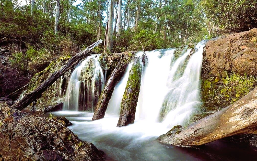 BUDDONG FALLS BOTTOM