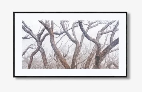 GHOSTS OF WINTER