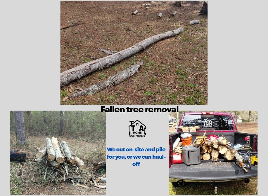 Fallen Tree Removal in Picayune, MS