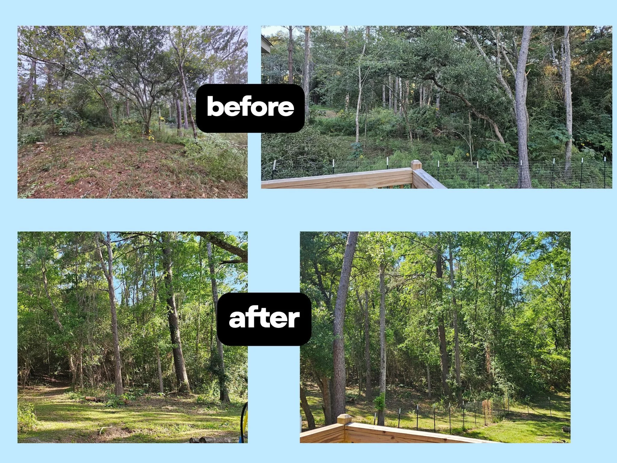 Brush Clearing in MS