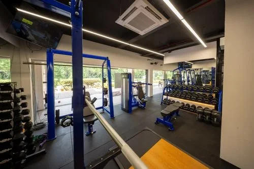 Gym 5.jpg