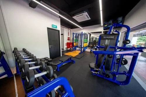 Gym 3.jpg