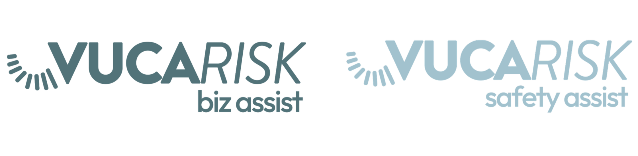 VUCARISK BizAssist logo with circular graphic element.
