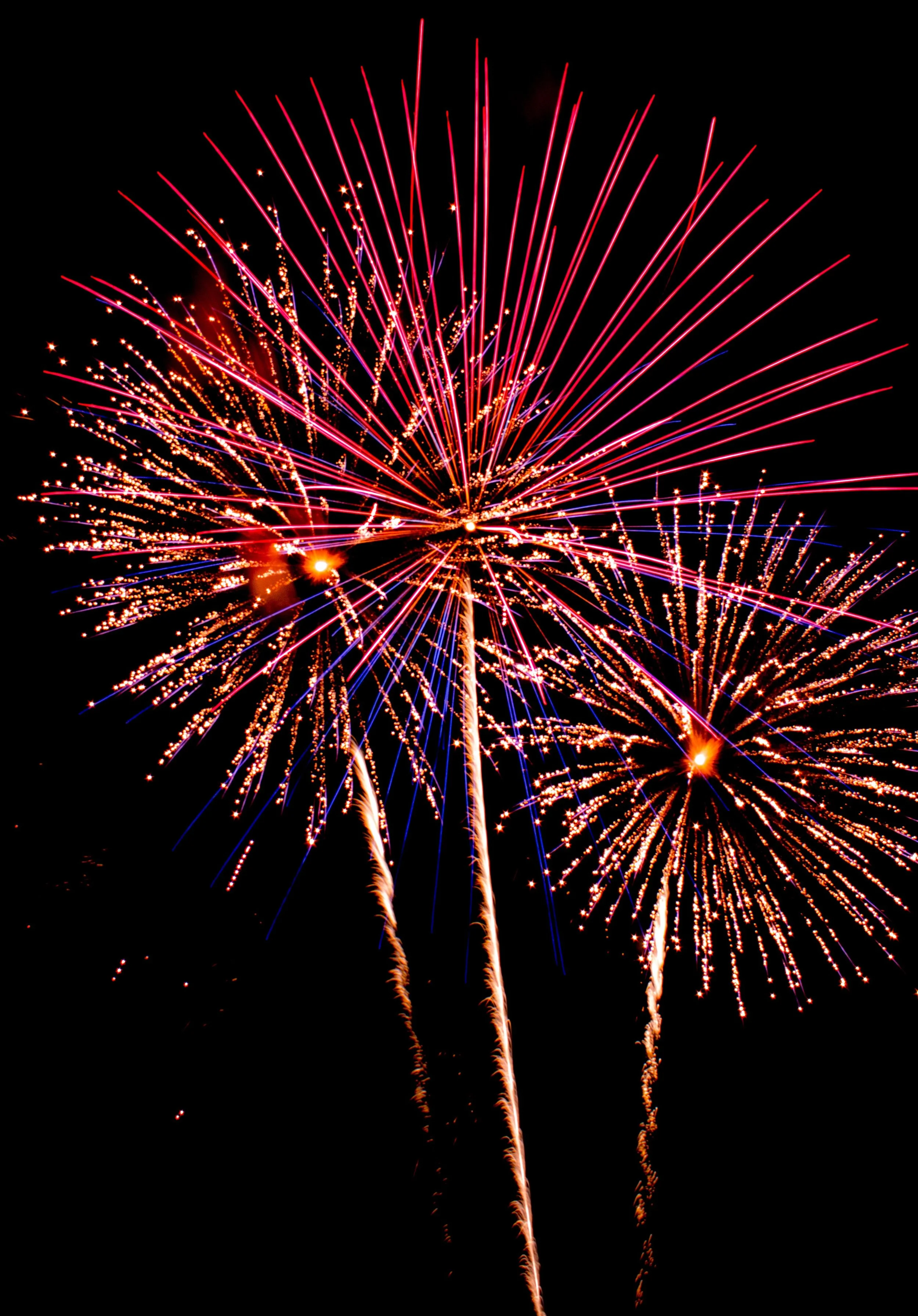 Firework Spectacular!