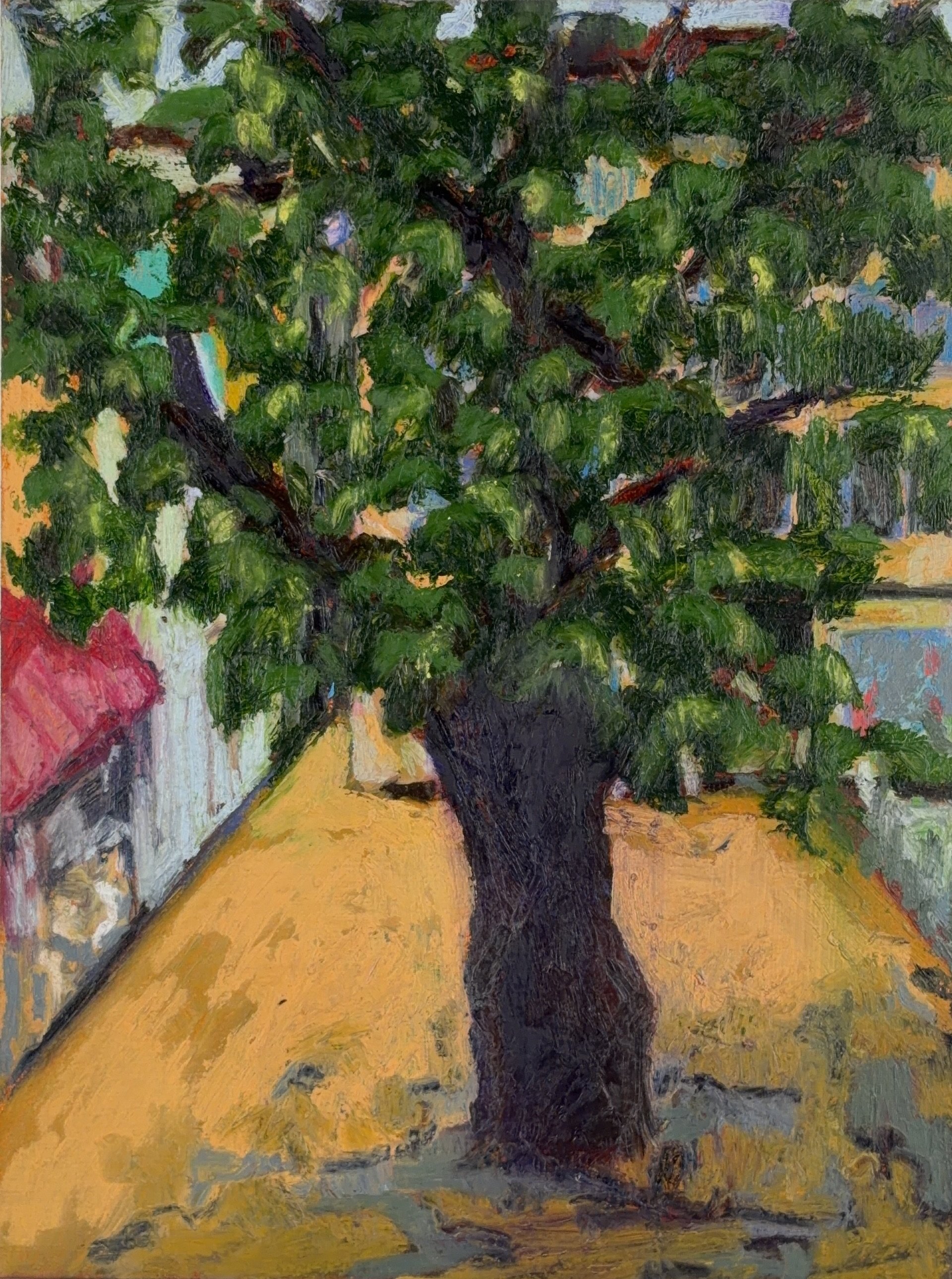 Soutine's ash tree, Vence