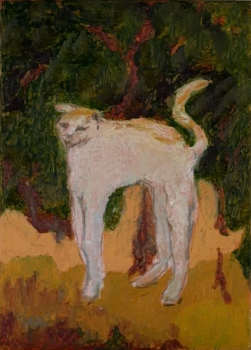 Bonnard's cat