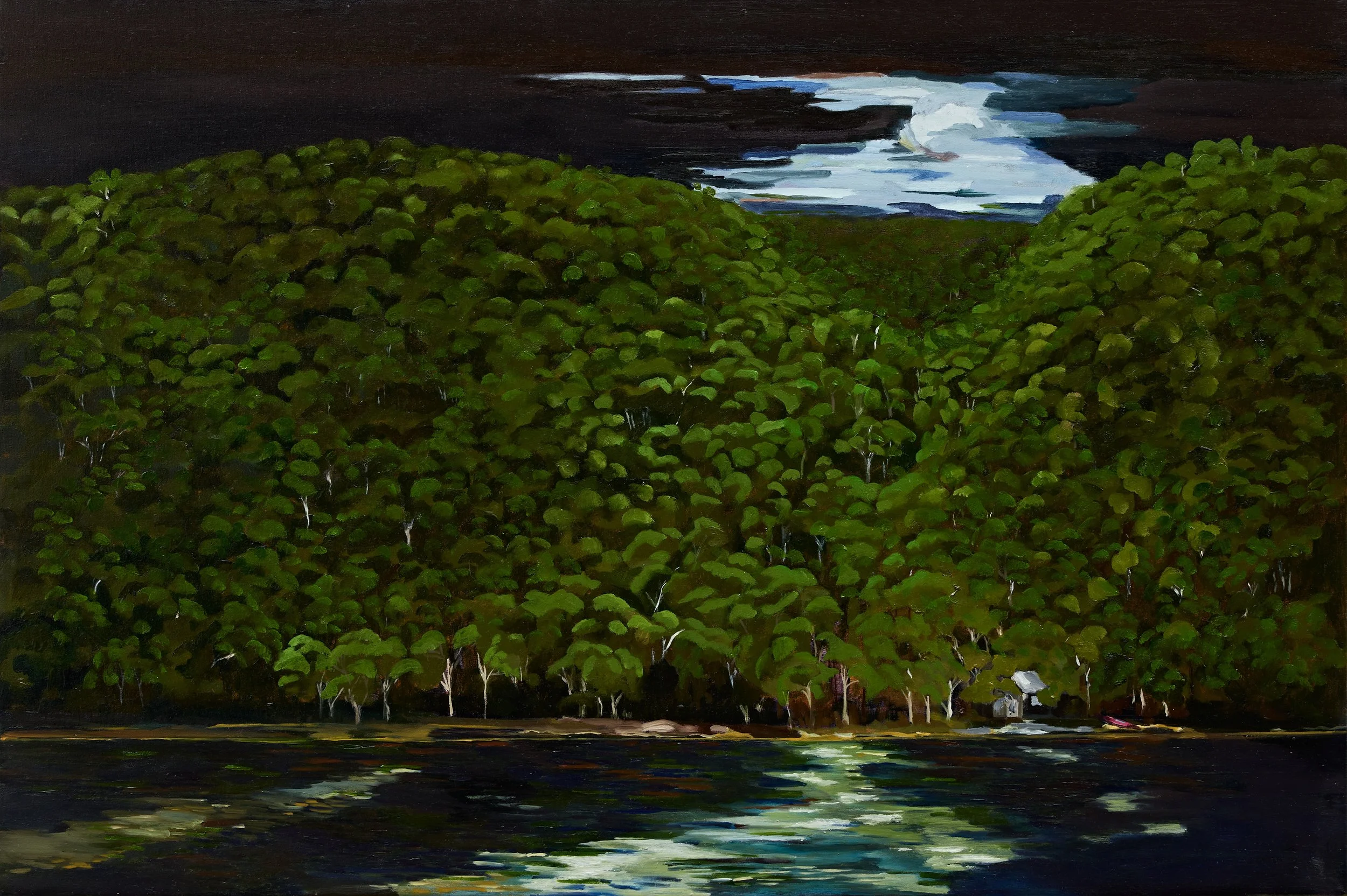 moonlight and the pink canoe