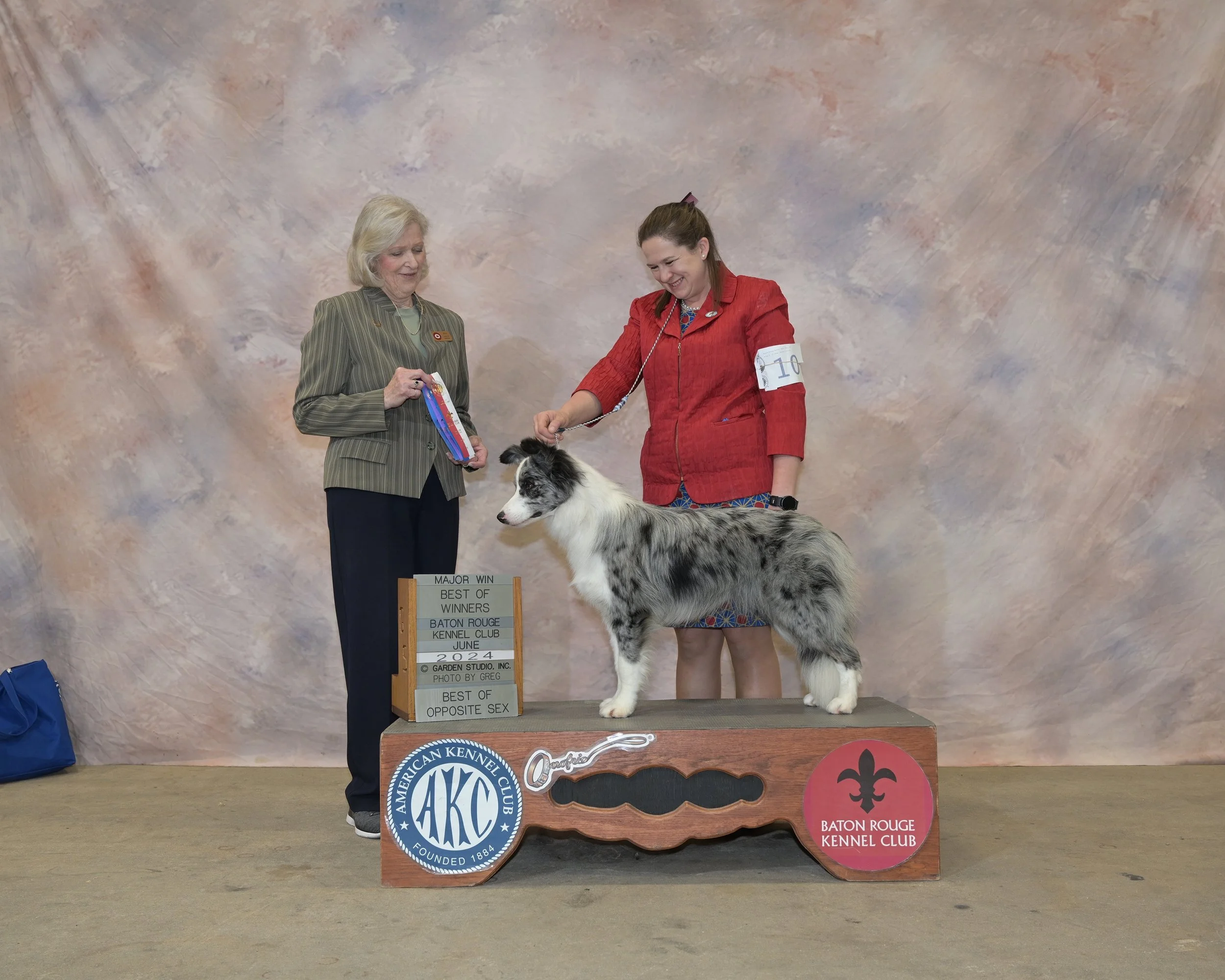 Major win in 9-12 mos Puppy Class