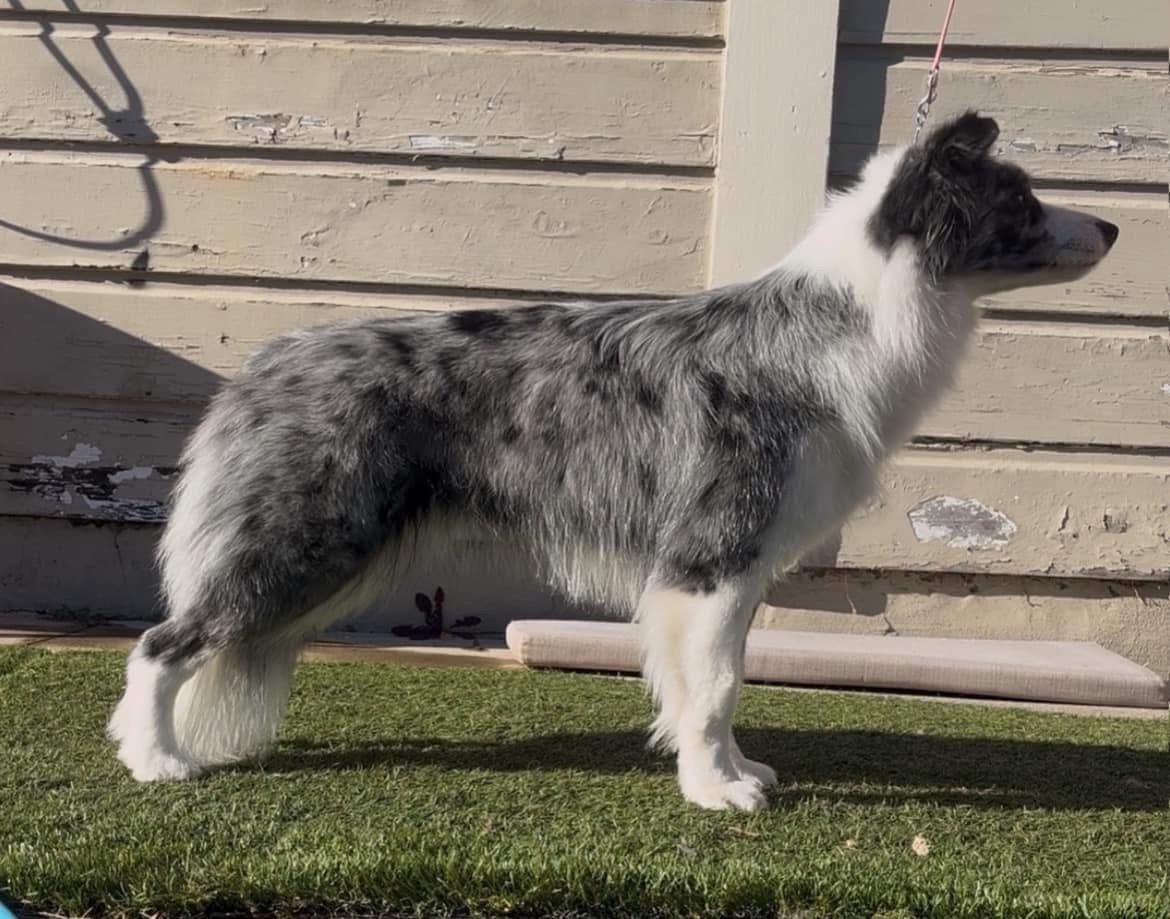 Free stack out of coat, 2025