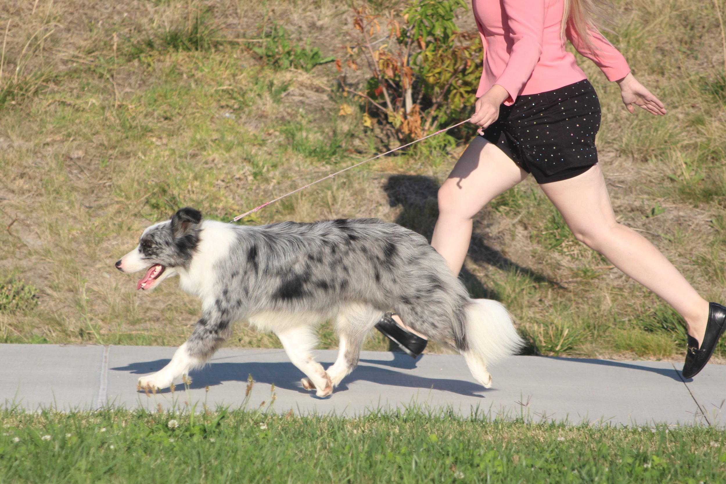 Movement, August 2024