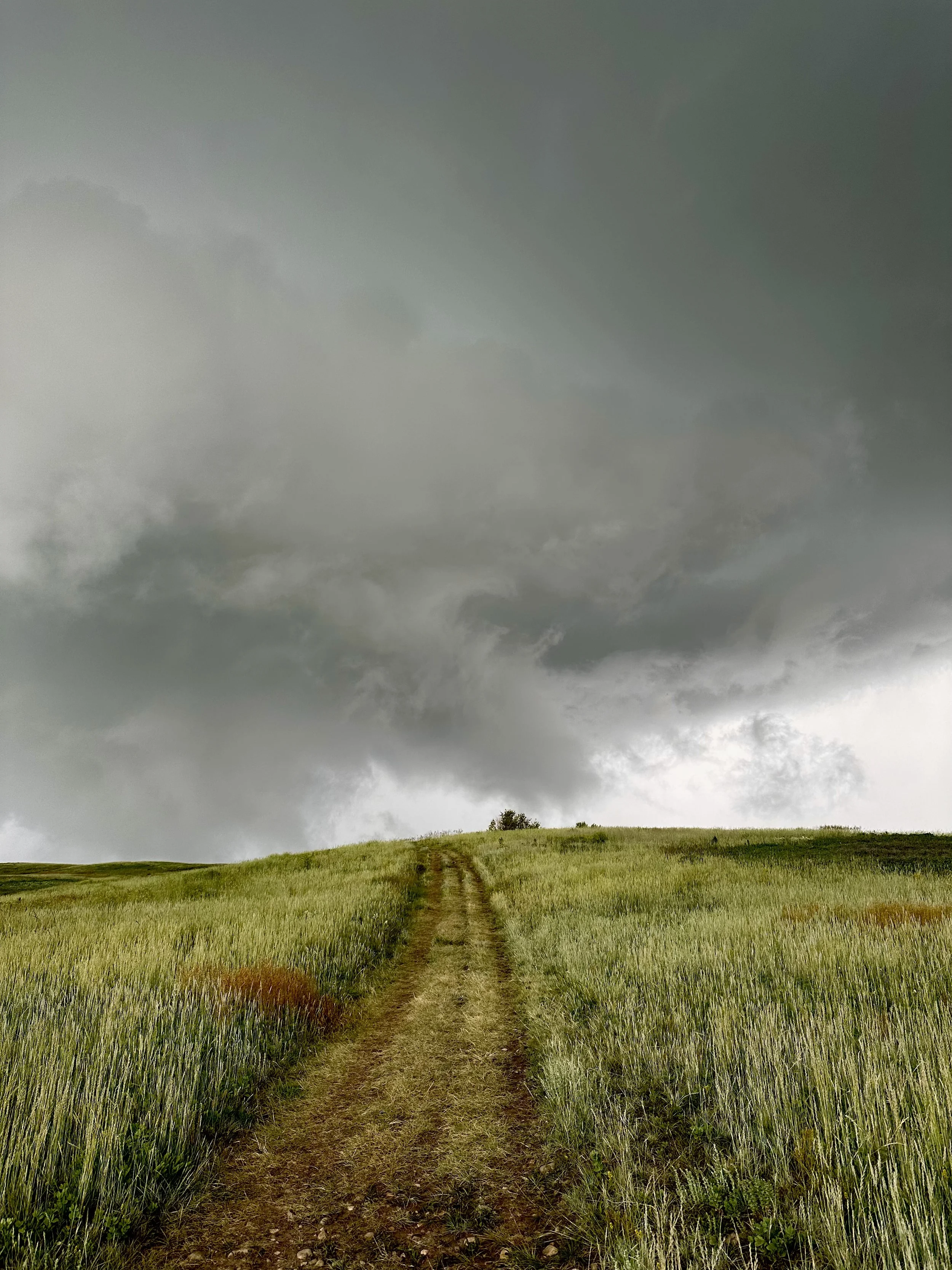 A dirt path running through a grassy field under a dark, cloudy sky.
